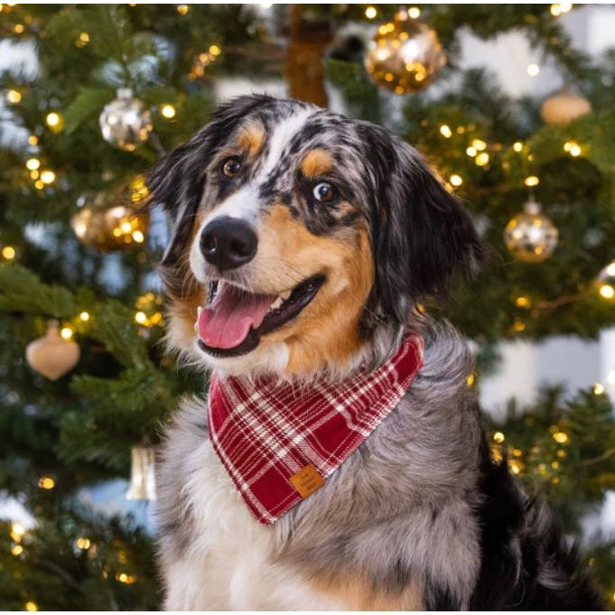 The Foggy Dog - Marsala Plaid Flannel Bandana