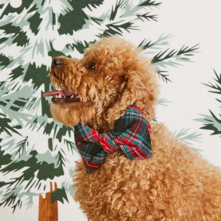 The Foggy Dog - Draper James x TFD Georgia Plaid Bow Tie