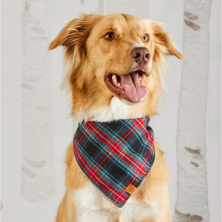 The Foggy Dog - Draper James x TFD Georgia Plaid Bandana