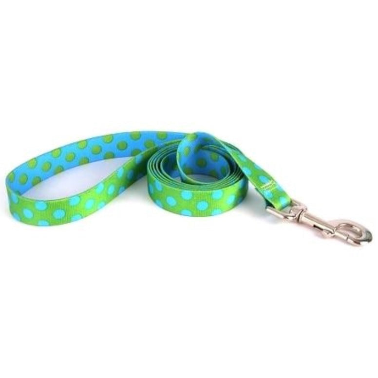 Yellow Dog Design - Green and Blue Polka Dot Leash