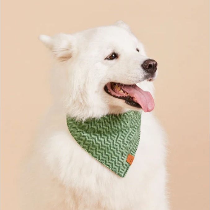 The Foggy Dog - Green Herringbone Flannel Bandana