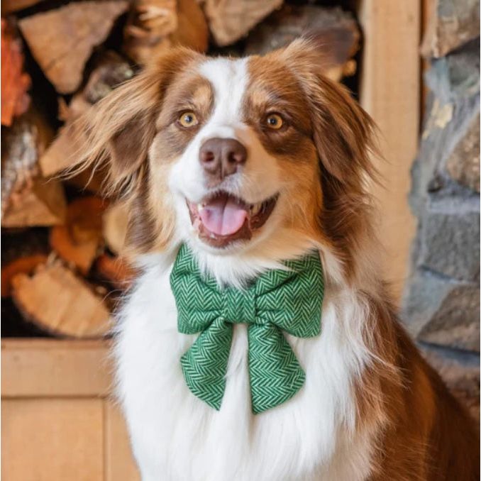 The Foggy Dog - Green Herringbone Flannel Lady Bow Tie