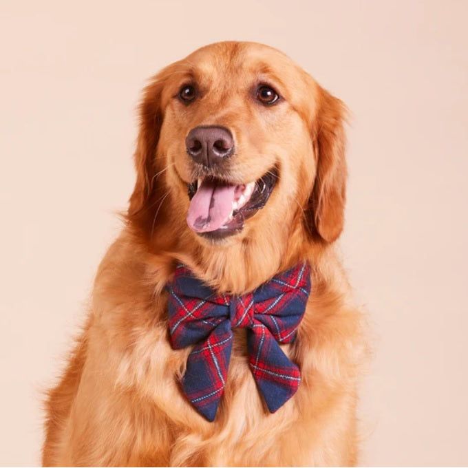 The Foggy Dog - Kingston Plaid Flannel Lady Bow Tie