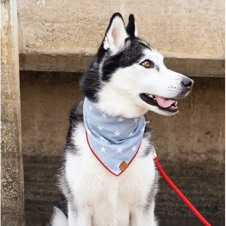 The Foggy Dog Liberty Bandana