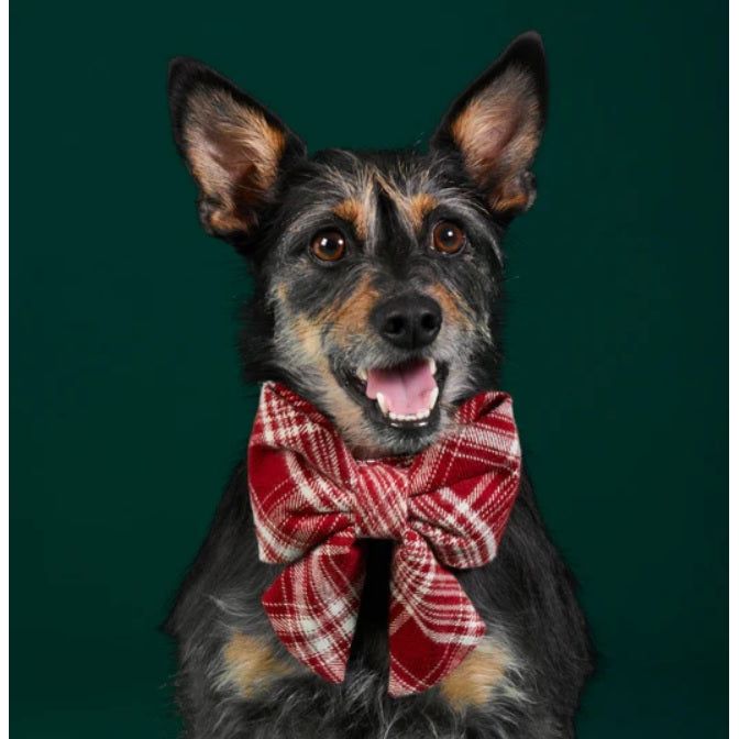 The Foggy Dog - Marsala Plaid Flannel Lady Bow Tie