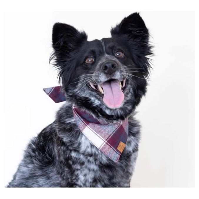 The Foggy Dog - Merlot Plaid Flannel Bandana