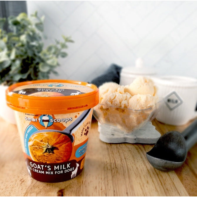 Puppy Scoops - Goat's Milk Pumpkin Ice Cream Mix for Dogs