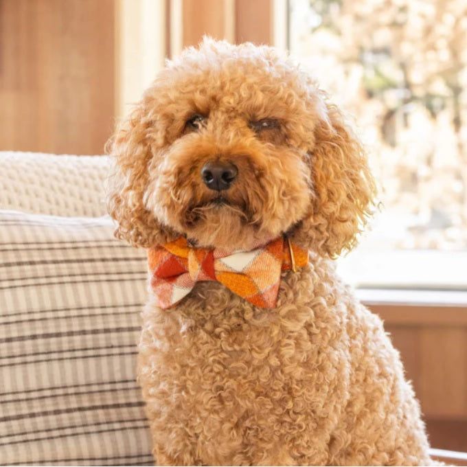 The Foggy Dog - Pumpkin Spice Plaid Flannel Bow Tie