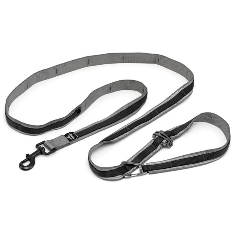 Kurgo - Reflective Quantum Leash 2.0