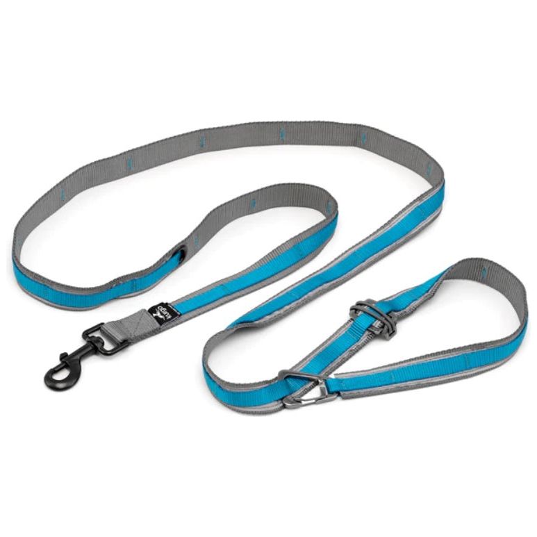 Kurgo Reflective Quantum Leash 2.0 Hands Free Dog Leash King Duke s Beaverton