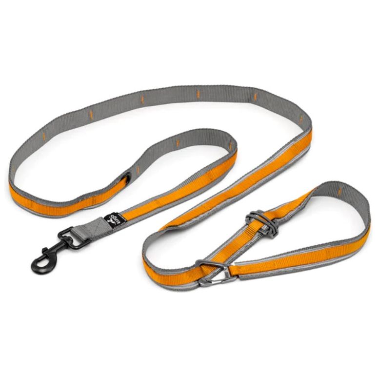 Kurgo - Reflective Quantum Leash 2.0