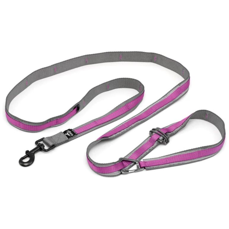 Kurgo - Reflective Quantum Leash 2.0