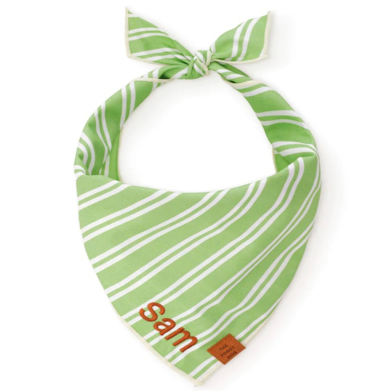 The Foggy Dog - Sprout Stripe Bandana