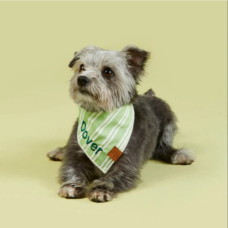 The Foggy Dog - Sprout Stripe Bandana