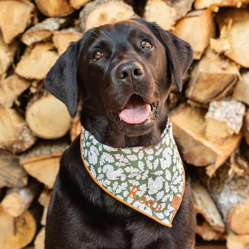 The Foggy Dog - Squirrel! Bandana