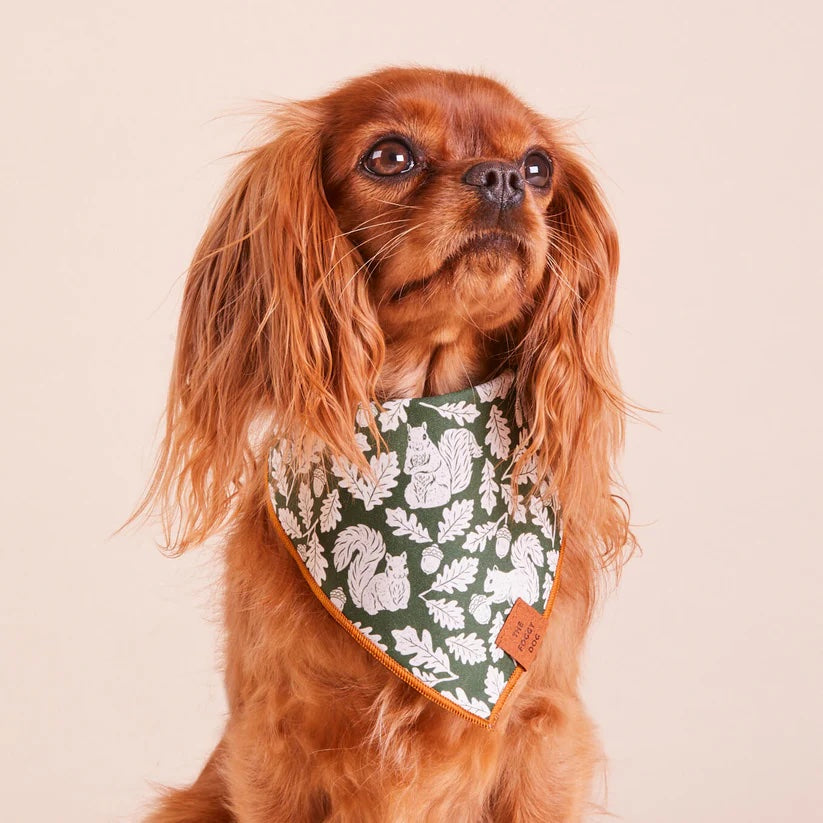 The Foggy Dog Squirrel Bandana Dog Bandana King Duke s
