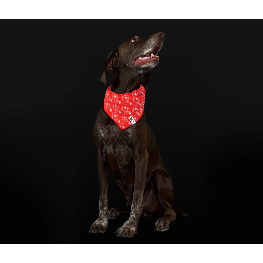 RC Pets - Flare Reflective Bandana