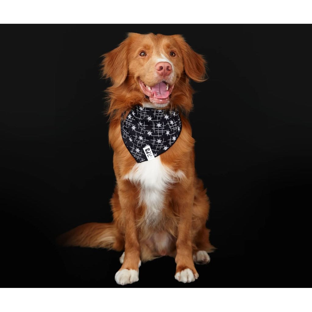 RC Pets - Flare Reflective Bandana