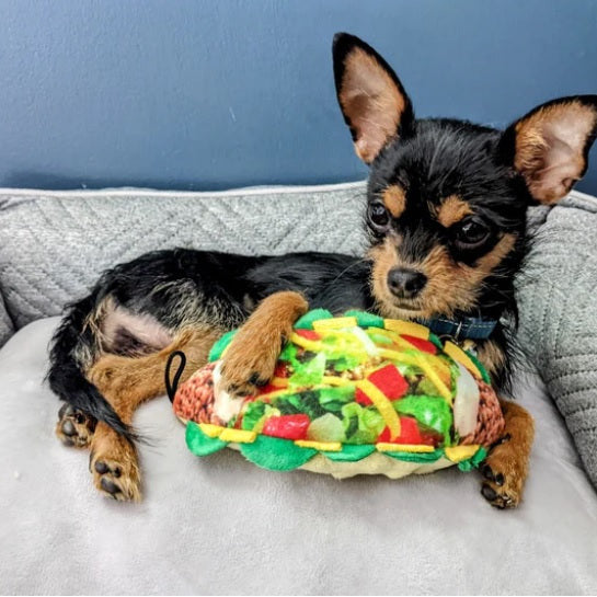 Taco clearance dog bed