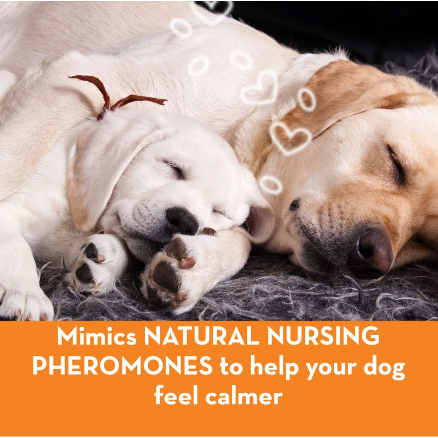 ThunderEase for Dogs - Calming Pheromone Diffuser