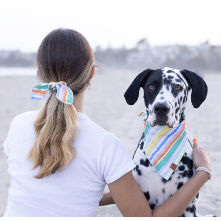 The Foggy Dog - Umbrella Stripe Bandana