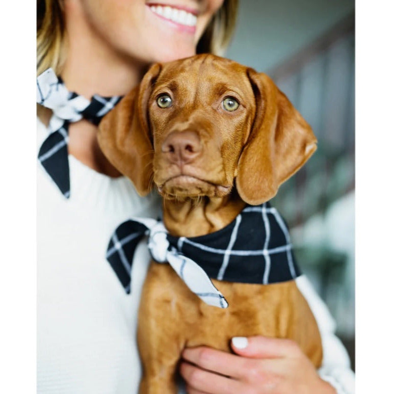 The Foggy Dog - Windowpane Check Bandana