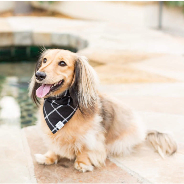 The Foggy Dog - Windowpane Check Bandana