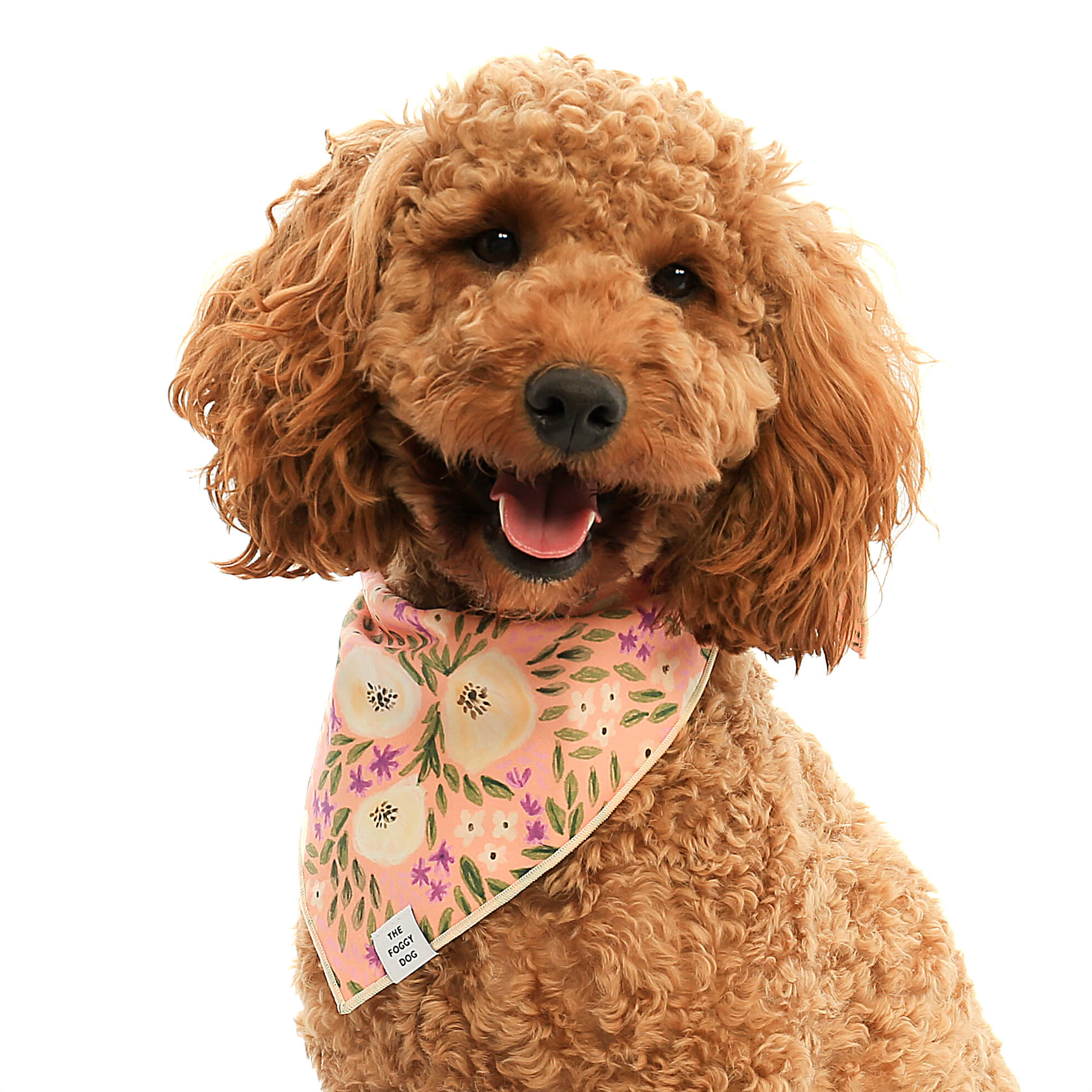 The Foggy Dog - Harper Floral Bandana