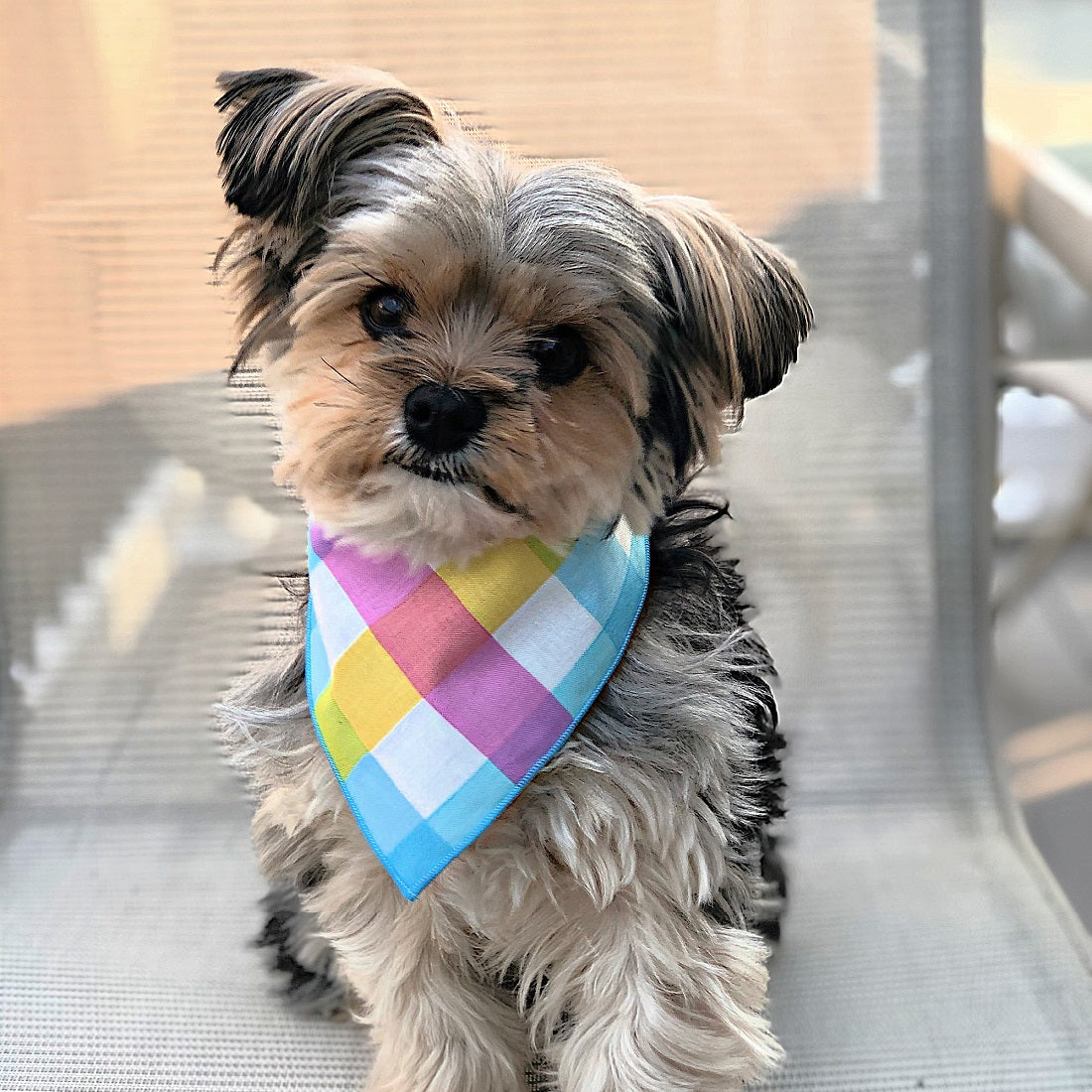 Paisley Paw Designs - Colorful Plaid Bandana