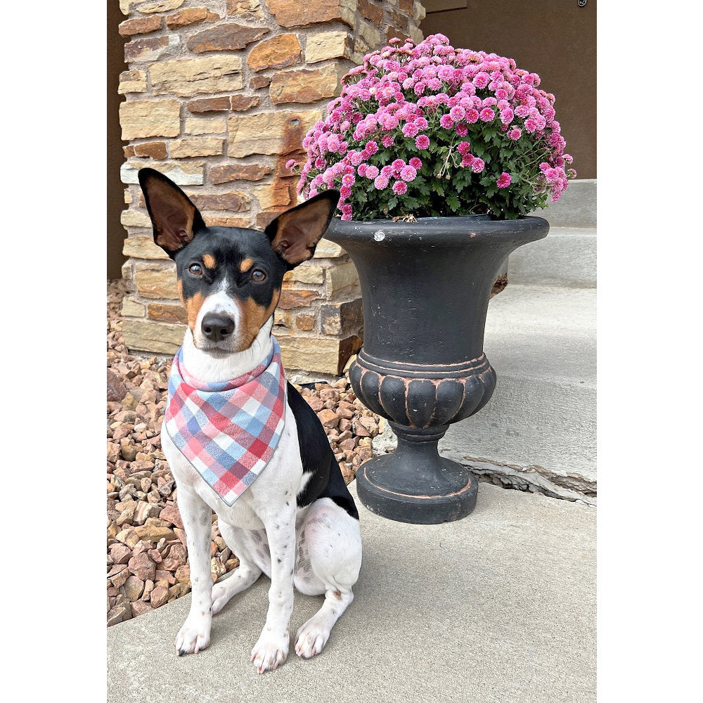 Paisley Paw Designs - Plaid Luxe Flannel Bandana