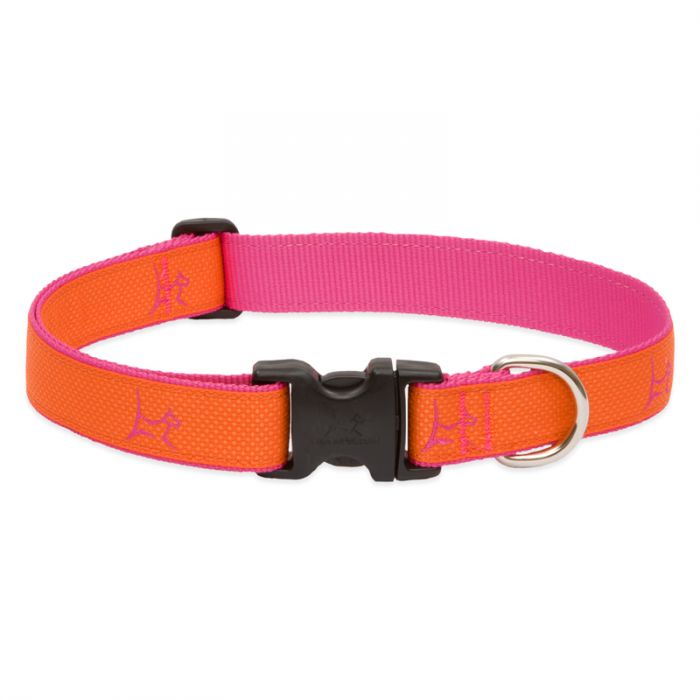 LupinePet Club Collar - Sunset Orange