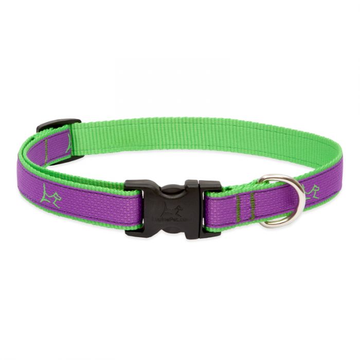 LupinePet Club Collar - Hampton Purple