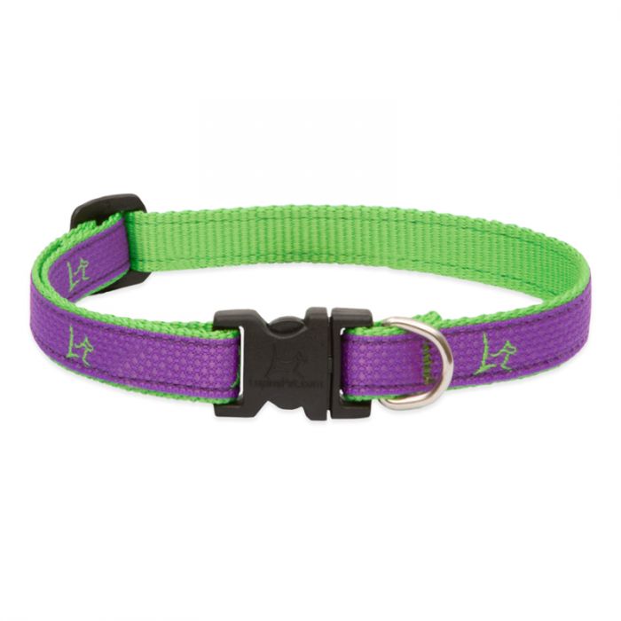 LupinePet Club Collar - Hampton Purple