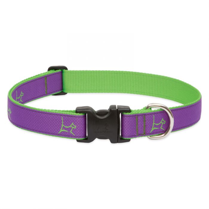 LupinePet Club Collar - Hampton Purple