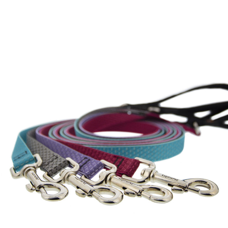 LupinePet Eco Leash - Tropical Sea