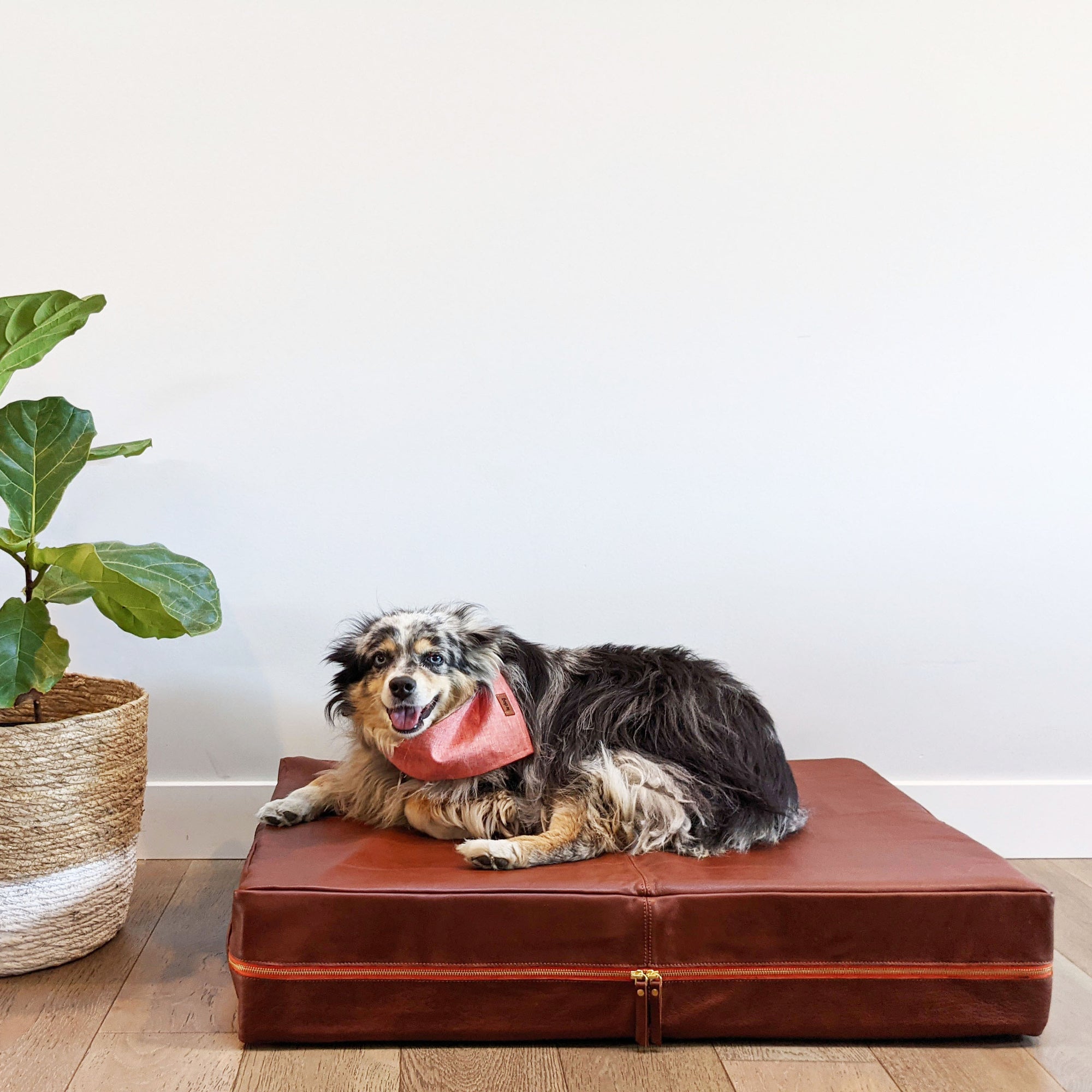 Le Dog Company - Le Bed Modern Dog Bed