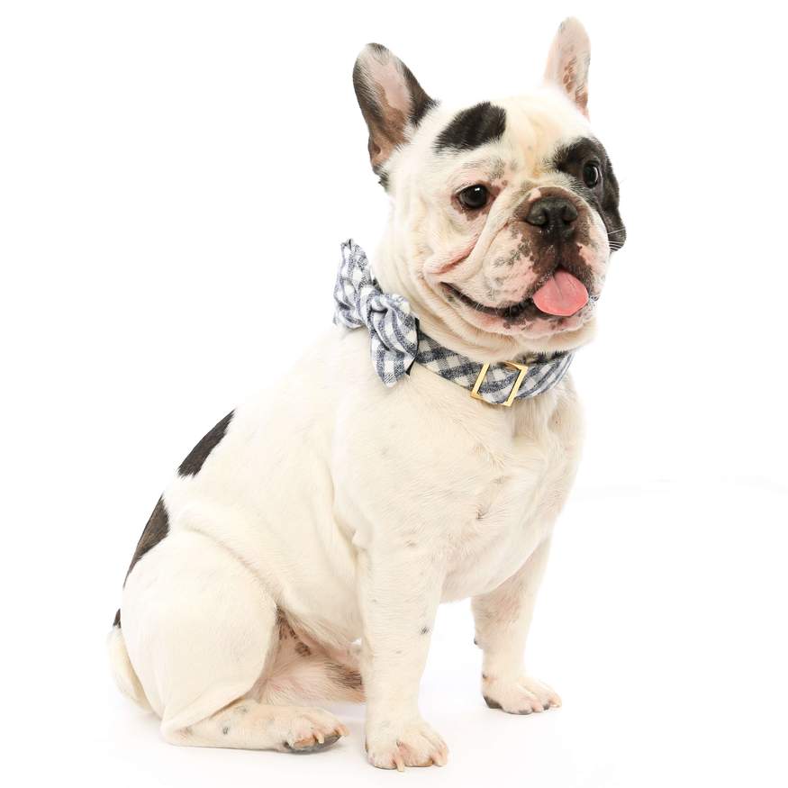 The Foggy Dog - Gray and White Check Flannel Bow Tie and Collar Set