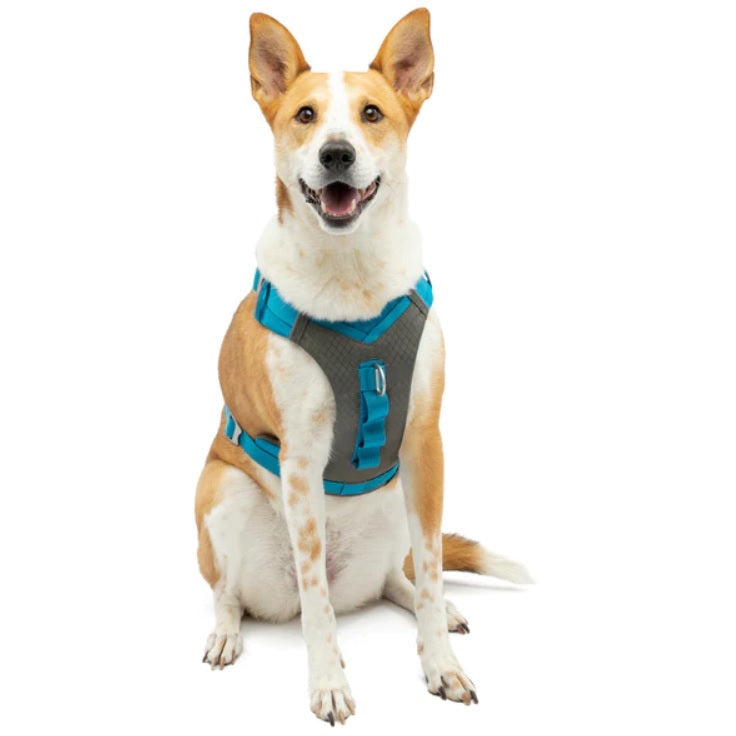 Kurgo - Journey Air Dog Harness