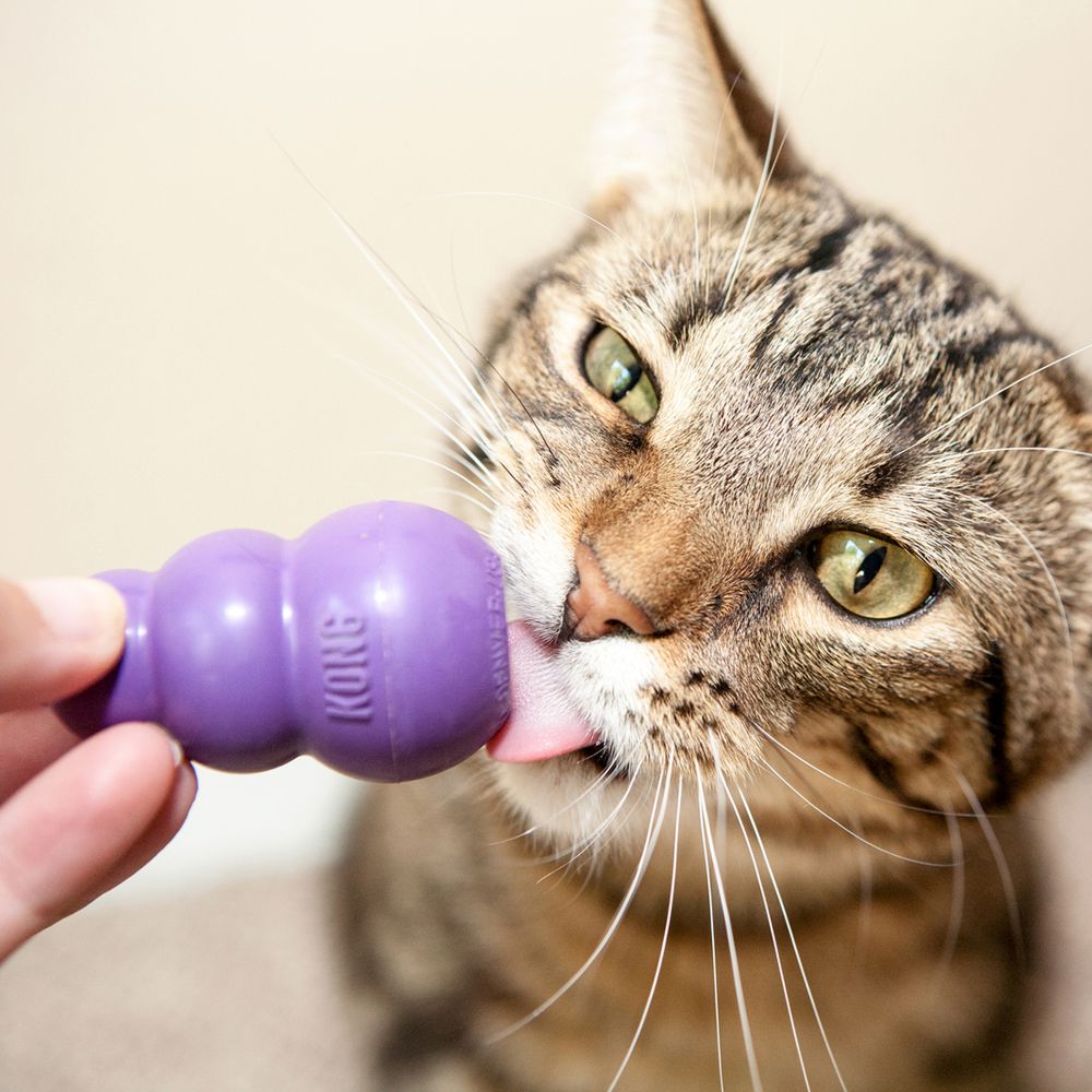 Kong Catnip Beaver Cat Toy