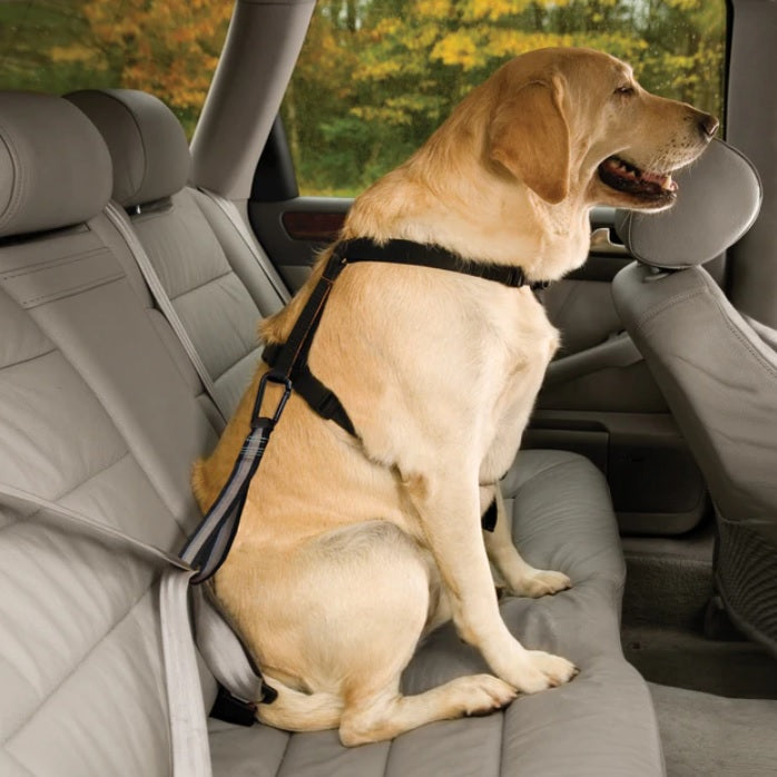 Kurgo - Dog Seatbelt Loop