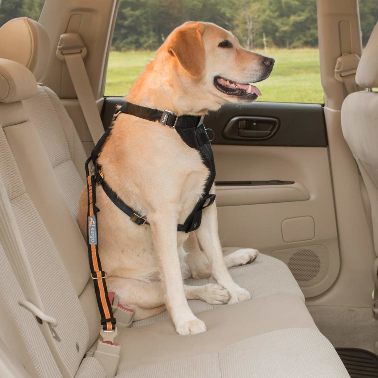 Kurgo - Dog Seatbelt Tether