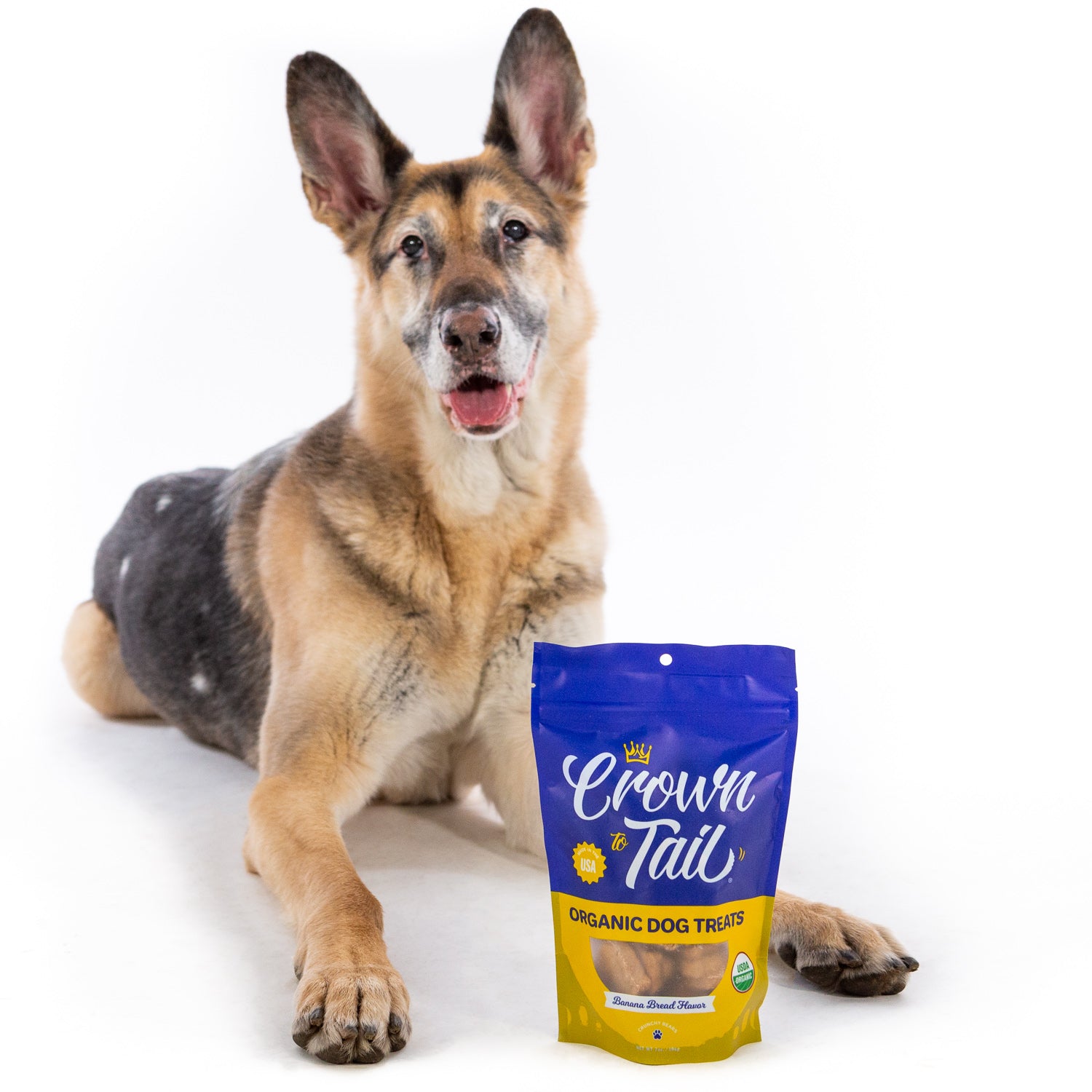Crown to Tail Organic Banana Bread Crunchy Dog Treats