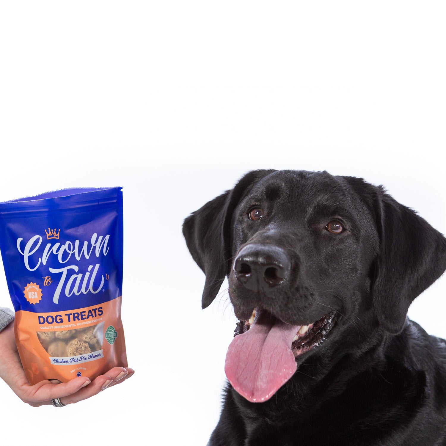 Crown to Tail Chicken Pot Pie Soft Chew Dog Treats