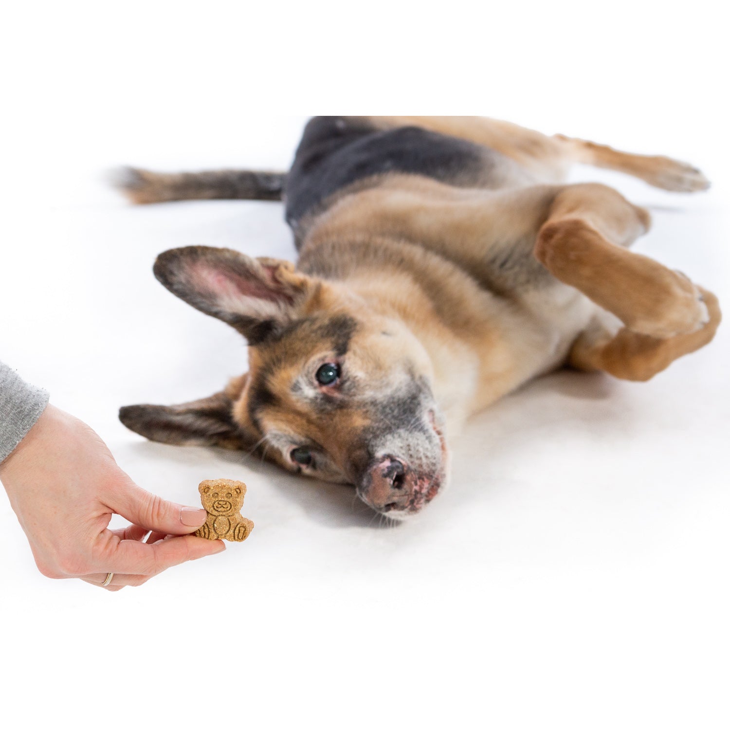 Crown to Tail Organic Sweet Potato Pie Crunchy Dog Treats