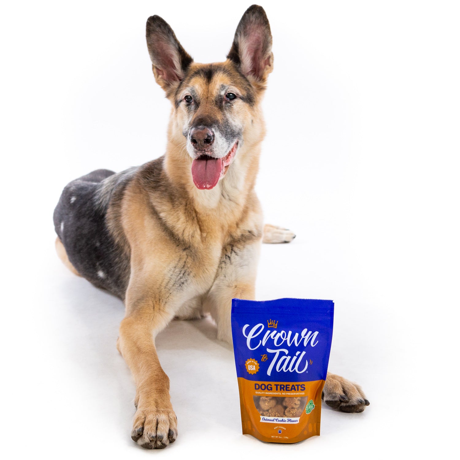 Crown to Tail Oatmeal Cookie Soft Chew Dog Treats