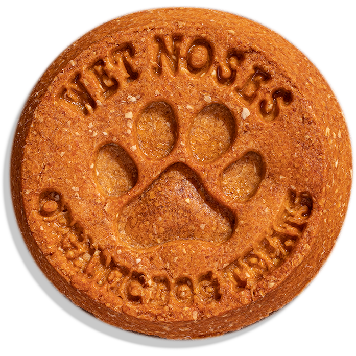 Wet Noses - Grain Free Peanut Butter & Banana Treats 14 oz