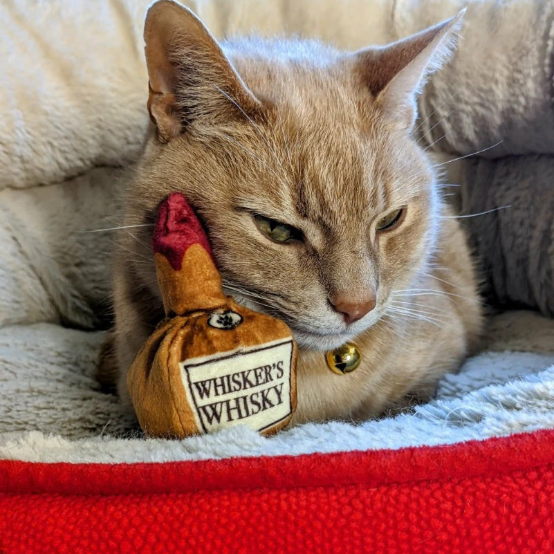 Kittybelles - Whisker's Whisky