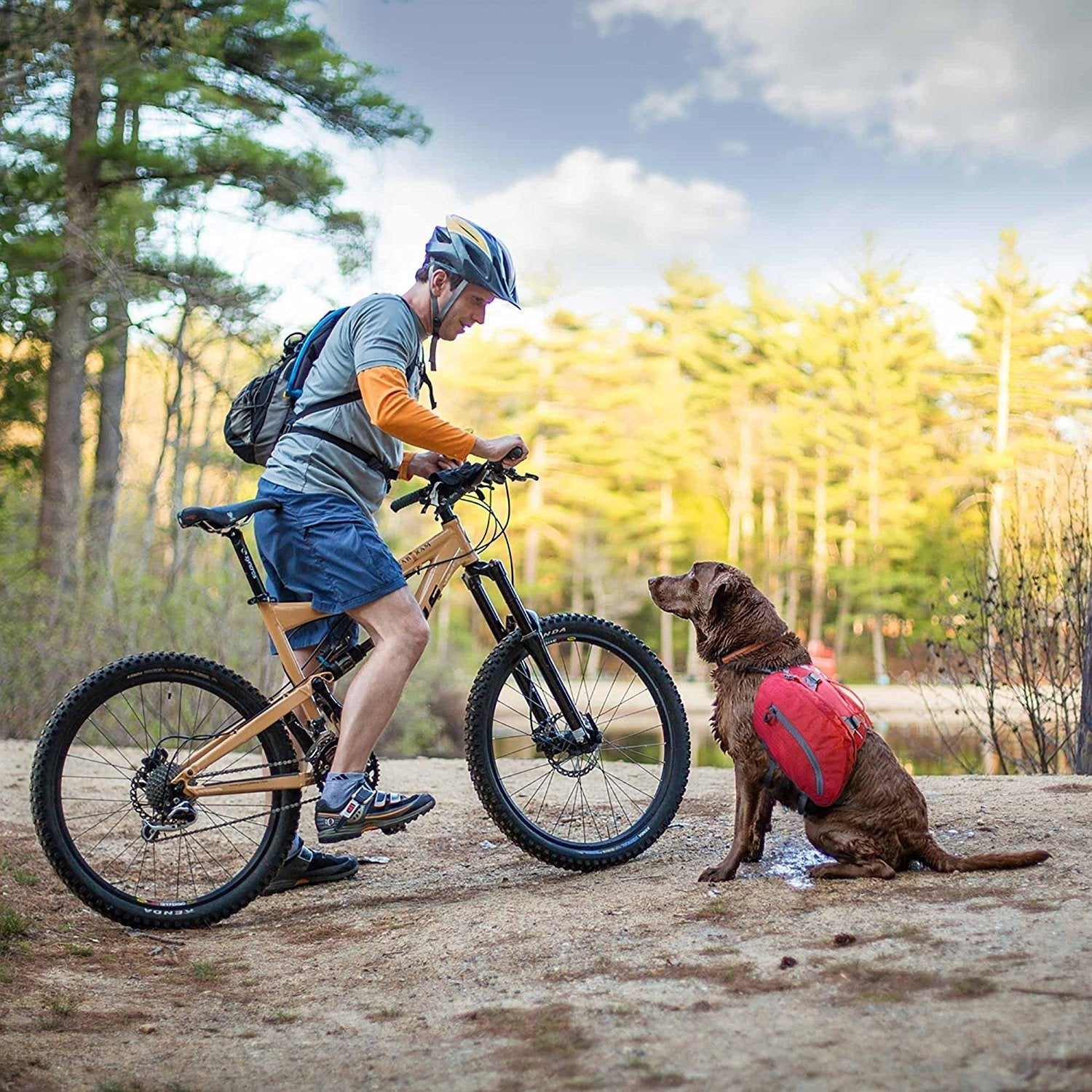 Kurgo - Baxter Dog Backpack