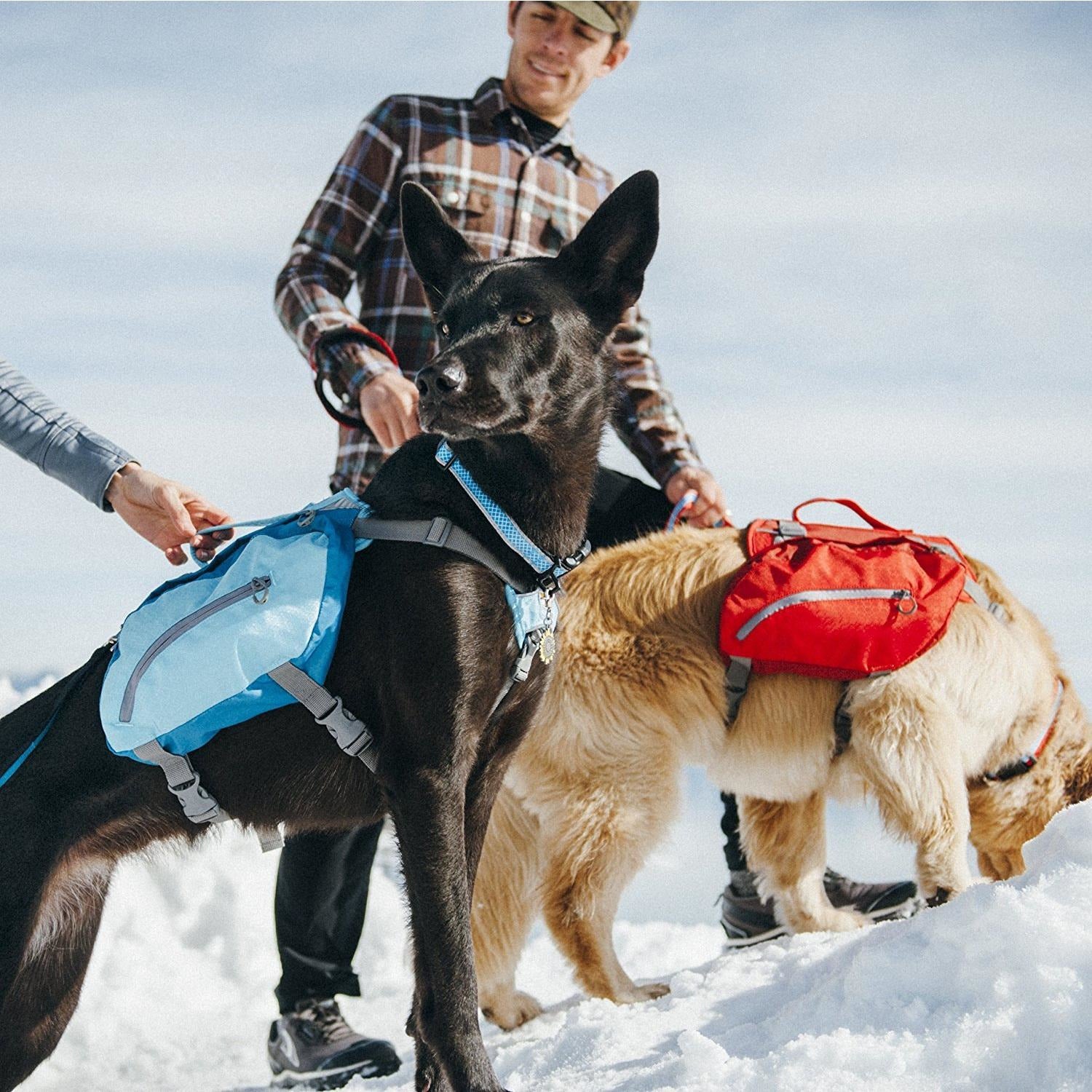 Kurgo - Baxter Dog Backpack