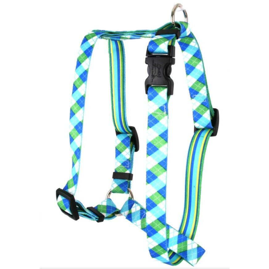 Yellow Dog Design - Roman Dog Harness, Blue &amp; Green Argyle